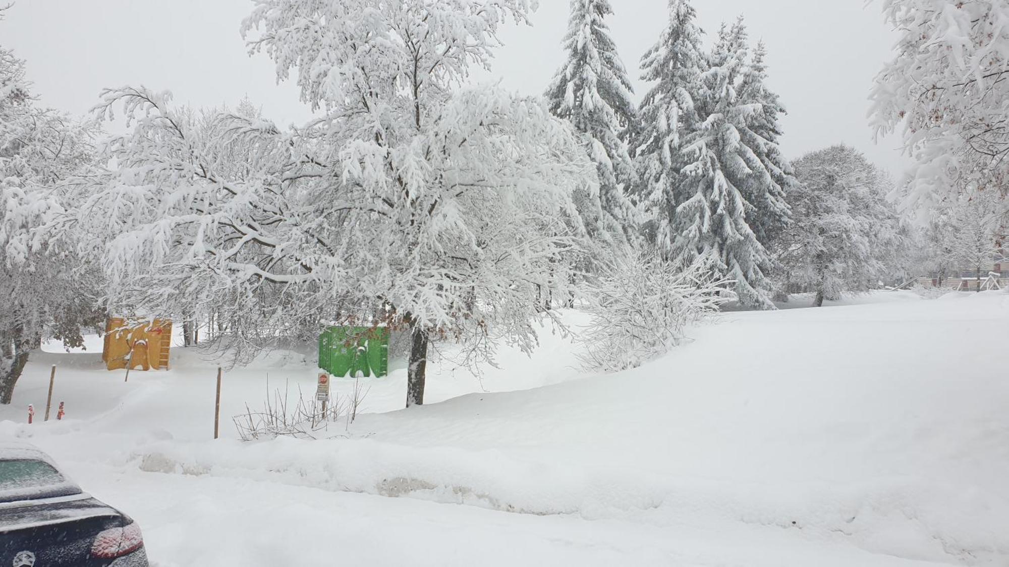 Traumurlaub Im Bayerische Wald Apartment Sankt Englmar Bagian luar foto