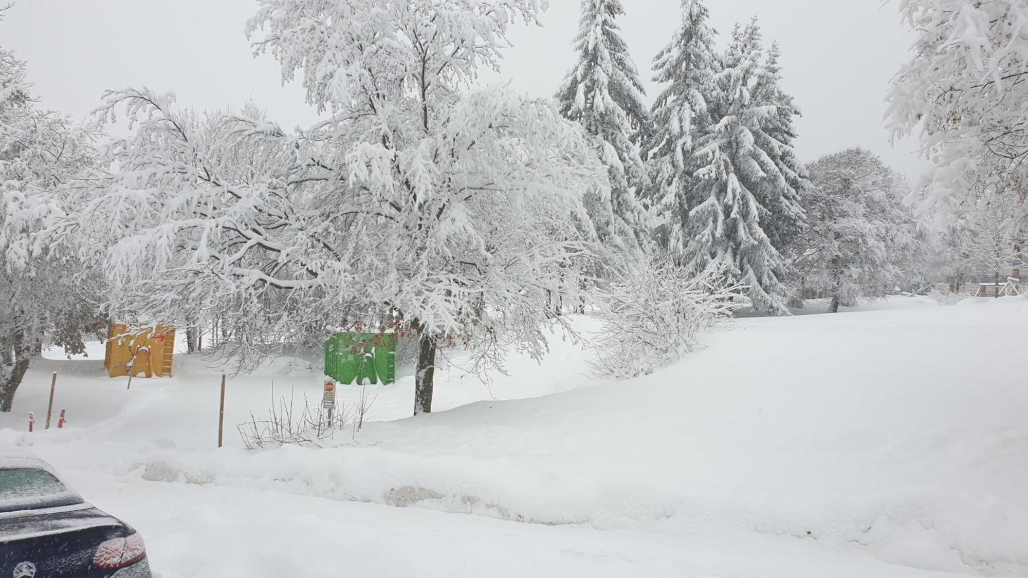 Traumurlaub Im Bayerische Wald Sankt Englmar Bagian luar foto